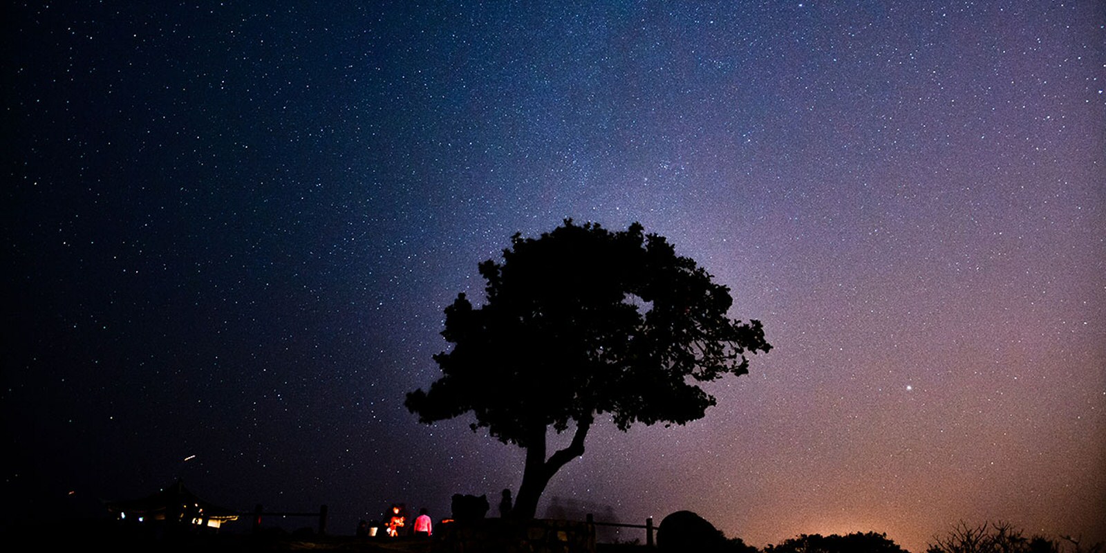 National Conference with Multiple Tickets